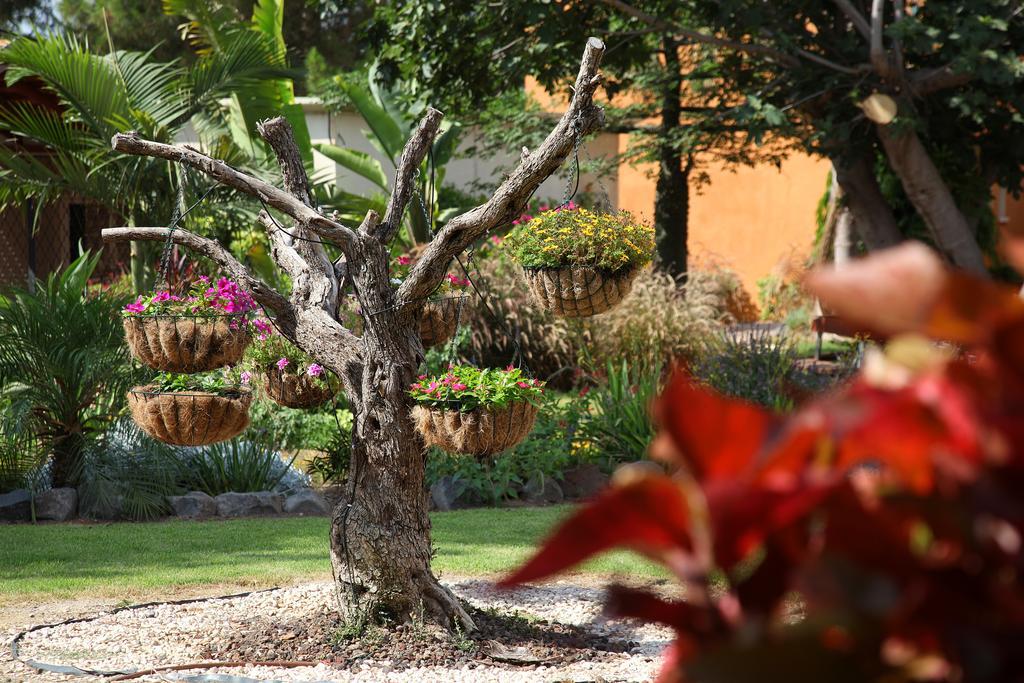 Shaar Hagolan Kibbutz Country Lodging Exterior photo